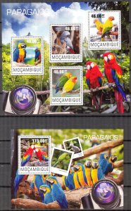 Mozambique 2014 Birds Parrots Sheet + S/S MNH