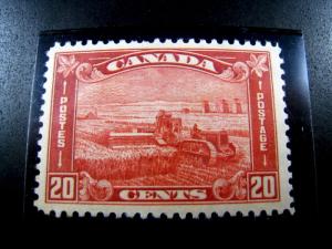 CANADA - SCOTT # 175   -   MNH                  (can-25)