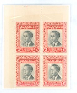 Jordan #307  Plate Block (King)