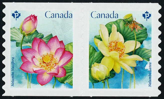 Canada 3089iii MNH Flowers, Lotus