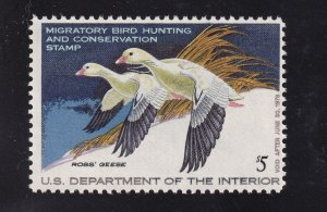 1977 Federal Duck Stamp Sc RW44 MNH single stamp (KA