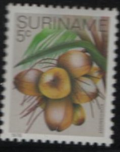 SURINAME 510 MLH F/VF