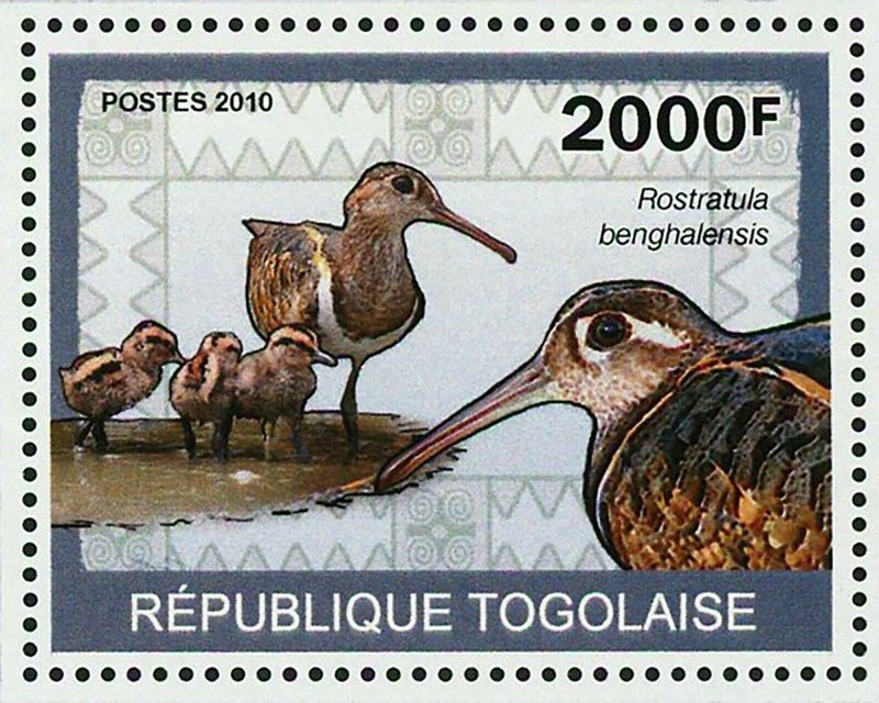 Wetland Birds Stamp Rostratula Benghalensis Souvenir Sheet MNH #3438 / Bl.498 