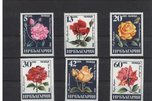 Bulgaria 1985 Roses 6 values set MNH Scott #3075-3080 