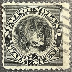 Newfoundland # 58 Used