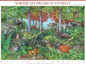 2005 sheet Northeast Deciduous Forest Sc# 3899