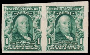 United States Scott 314 Horizontal Pair (1906) Mint H VF, CV $28.00+ W