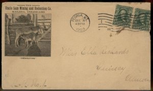 USA 1903 Colorado SALIDA Uncle Sam Mining Illustrated Cover 99104