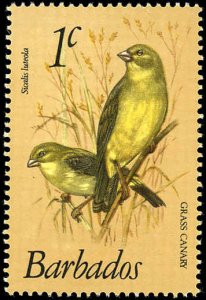 BARBADOS Sc 495 VF/MNH - 1979 1¢ Grass Canaries