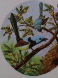 ​DHUFAR- 1973 WORLD COLORFUL LOVELY BIRDS CTO- SHEET VF WITH FIRST DAY CANCEL