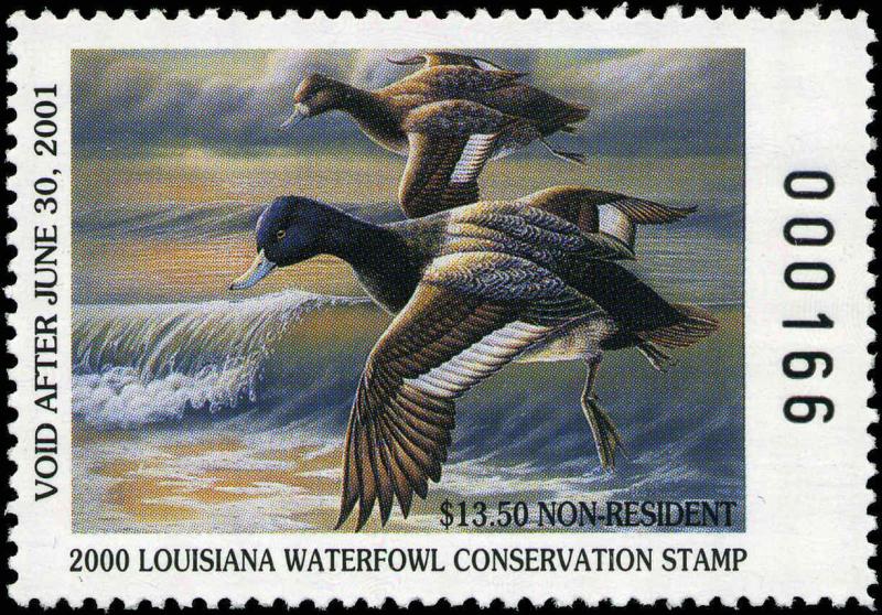 LOUISIANA #12 2000A NON-RES STATE DUCK STAMP LESSER SCAUP By Jude Burnett