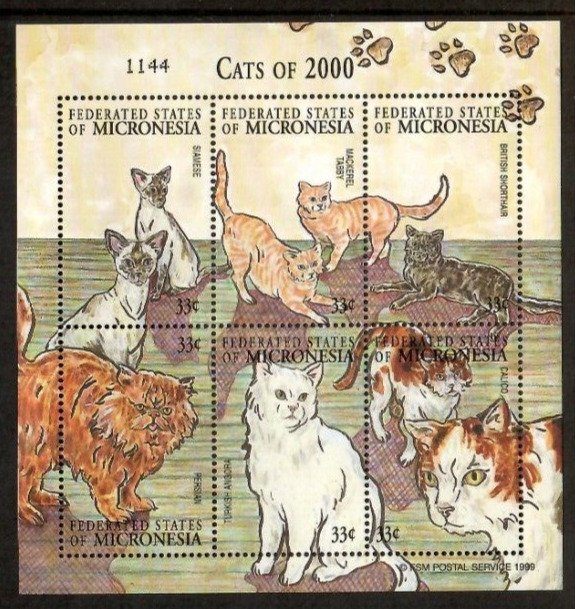 Micronesia 2001 - Cats Animals - Sheet of 6 Stamps - Scott #409 - MNH
