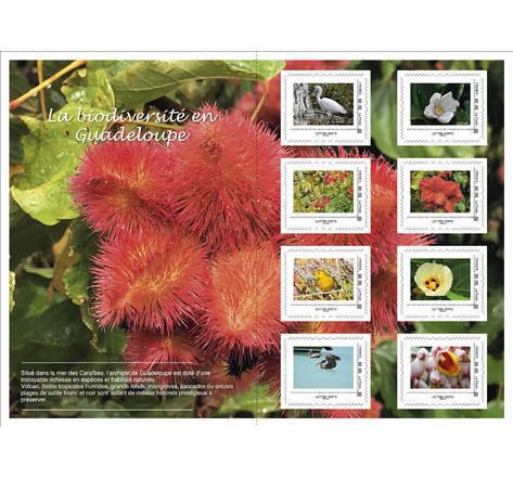 2022 France Biodiversity in Guadeloupe Sheet of 8 (Scott NA) MNH