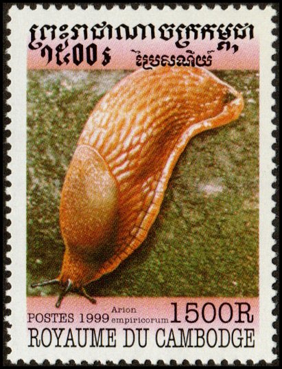 Cambodia 1843 - Mint-NH - 1500r Large Red Slug (1999) (cv $0.75)