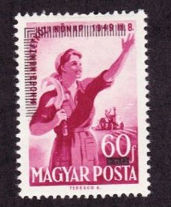 Hungary #996 Mint Hinged Single