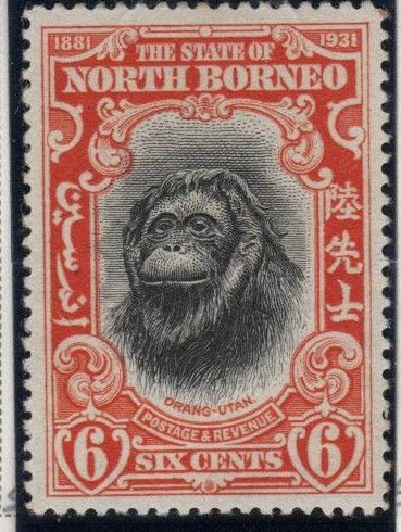 North Borneo Scott 186 MH* perf 12.5 Orangutan stamp,