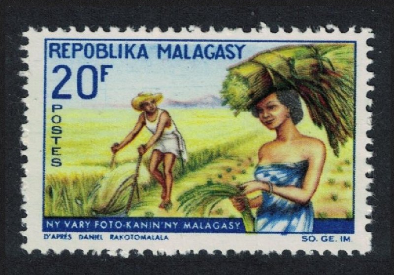 Malagasy Rep. Intl Rice Year 1967 MNH SG#126