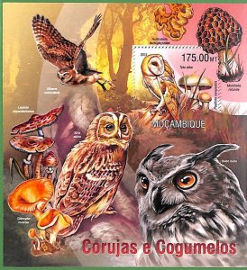 A2240 - MOZAMBIQUE - ERROR: MISPERF, Souvenir s - 2013, Mushrooms, Owls, Birds