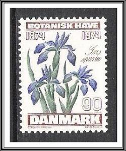 Denmark #560 Flowers NG