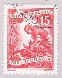 Yugoslavia 384 Used Gathering sun flowers 1953 (BP28226)