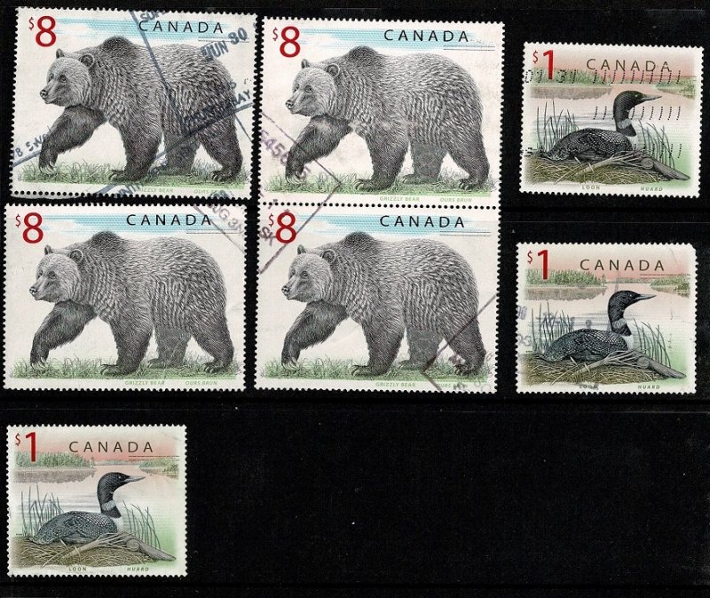 Canada $1 ducks and $8 bears