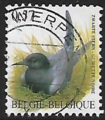 Belgium # 1913C - Birds - Black Tern - used  (Brw2)