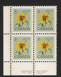 Canada PL BL Canada Lily 3