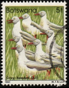 Botswana 307 - Used - 5t Gray-headed Gulls (1982) (cv $2.15) (2) +