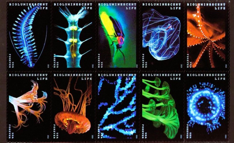 US 5264-5273  Bioluminescent Life Block 10 MNH 2018 Forever
