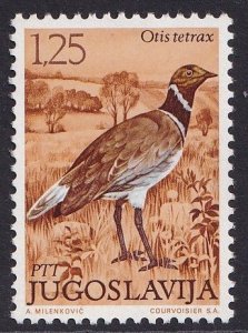 Yugoslavia   #1103  MNH 1972  birds 1.25d little bustard