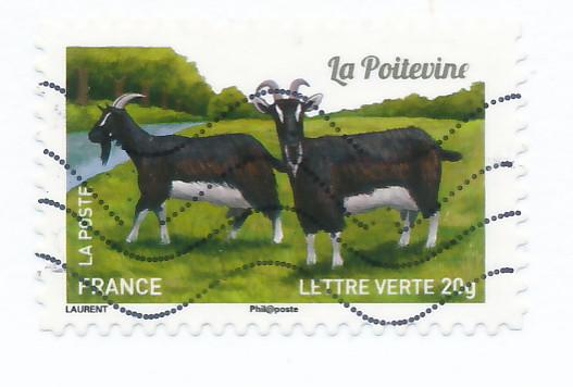 France 2015 Scott 4764 used - Goat Breeds, la Poitevine