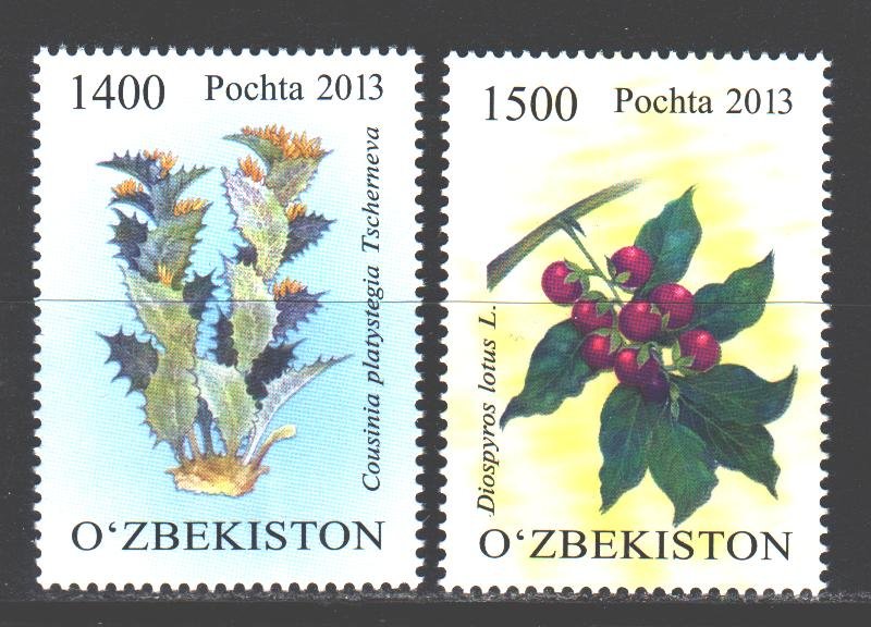 Uzbekistan. 2013. 1062-63. Persimmon Caucasian fruit. MNH. 