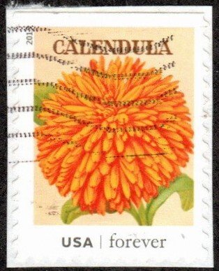 United States 4755 - Used - (46c) Calendula / Seed Packet (2013) (cv $0.60)