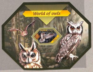 A4904 - SOLOMONS - ERROR MIPERF special block: 2014, owls, birds-