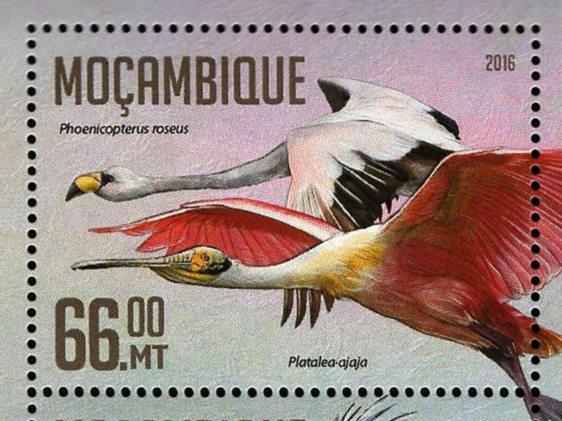 Water Birds Stamp Phoenicopterus Roseus Platalea Ajaja S/S MNH #8459-8462 