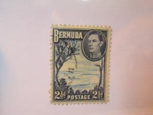 Bermuda #120 used