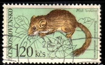 Dormouse, Tatra National Park, Czechoslovakia SC#1500 used