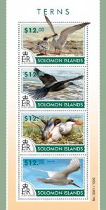 SOLOMON IS. - 2015 - Terns - Perf 4v Sheet - Mint Never Hinged