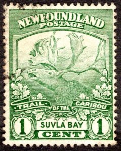 1919, Newfoundland 1c, Used, Sc 115