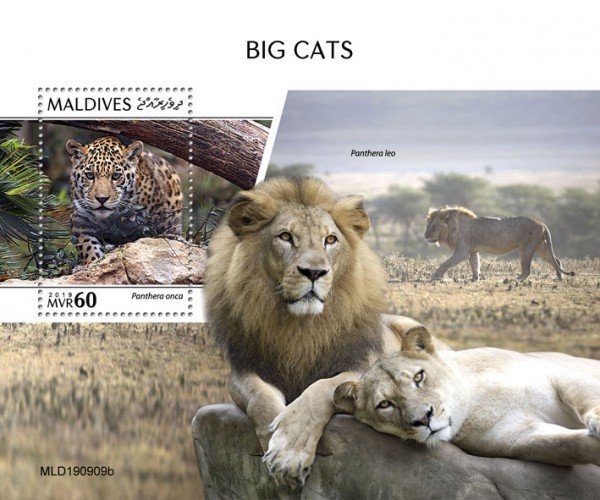 MALDIVES - 2019 - Big Cats - Perf Souv Sheet - MNH