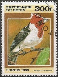 Benin 1124 - Cto - 300fr Red-crested Cardinal (1999) (cv $0.80)