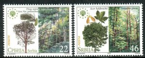 0488 SERBIA 2012 - European Nature Protection - Pine - Mountain Maple - MNH Set 