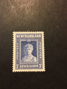 Newfoundland sc 248 MLH