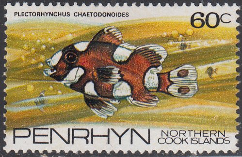 Penrhyn 1974-75 MH Sc #60 60c Plectorhynchus chaetodonoides Fish