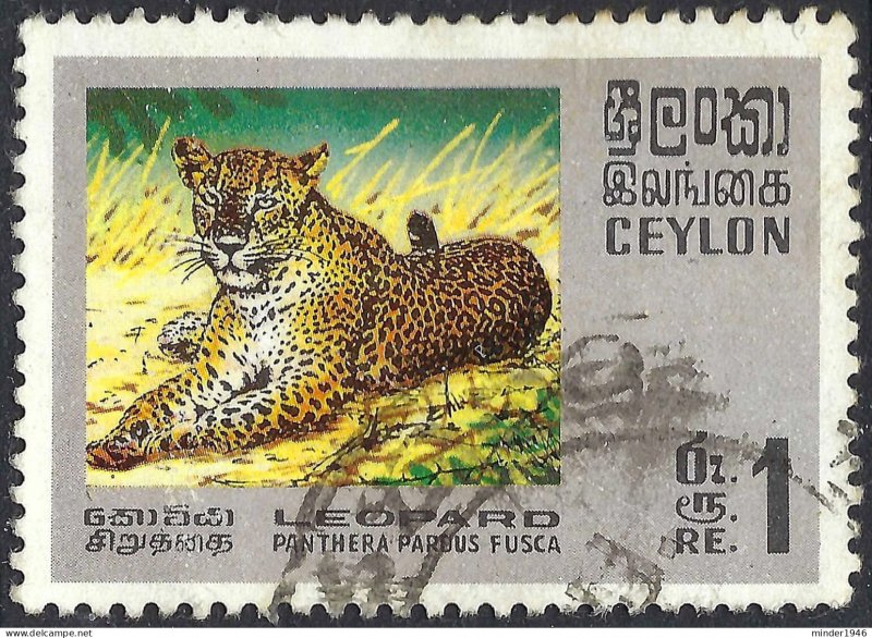 SRI LANKA (CEYLON) 1970 QEII 1r Multicoloured, Wildlife Conservation-Leopard ...