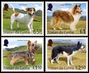 TRISTAN DA CUNHA 2025 DOGS