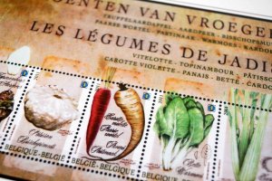 COLOR PRINTED BELGIUM 2011-2020 STAMP ALBUM PAGES (145 illustrated pages)