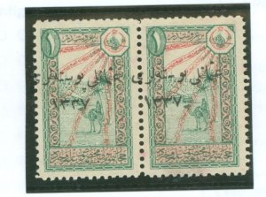 Turkey in Asia #58/58v Unused Multiple