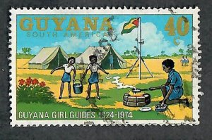 Guyana #203 used single