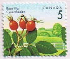 Canada Mint VF-NH #1352 Rose Hip